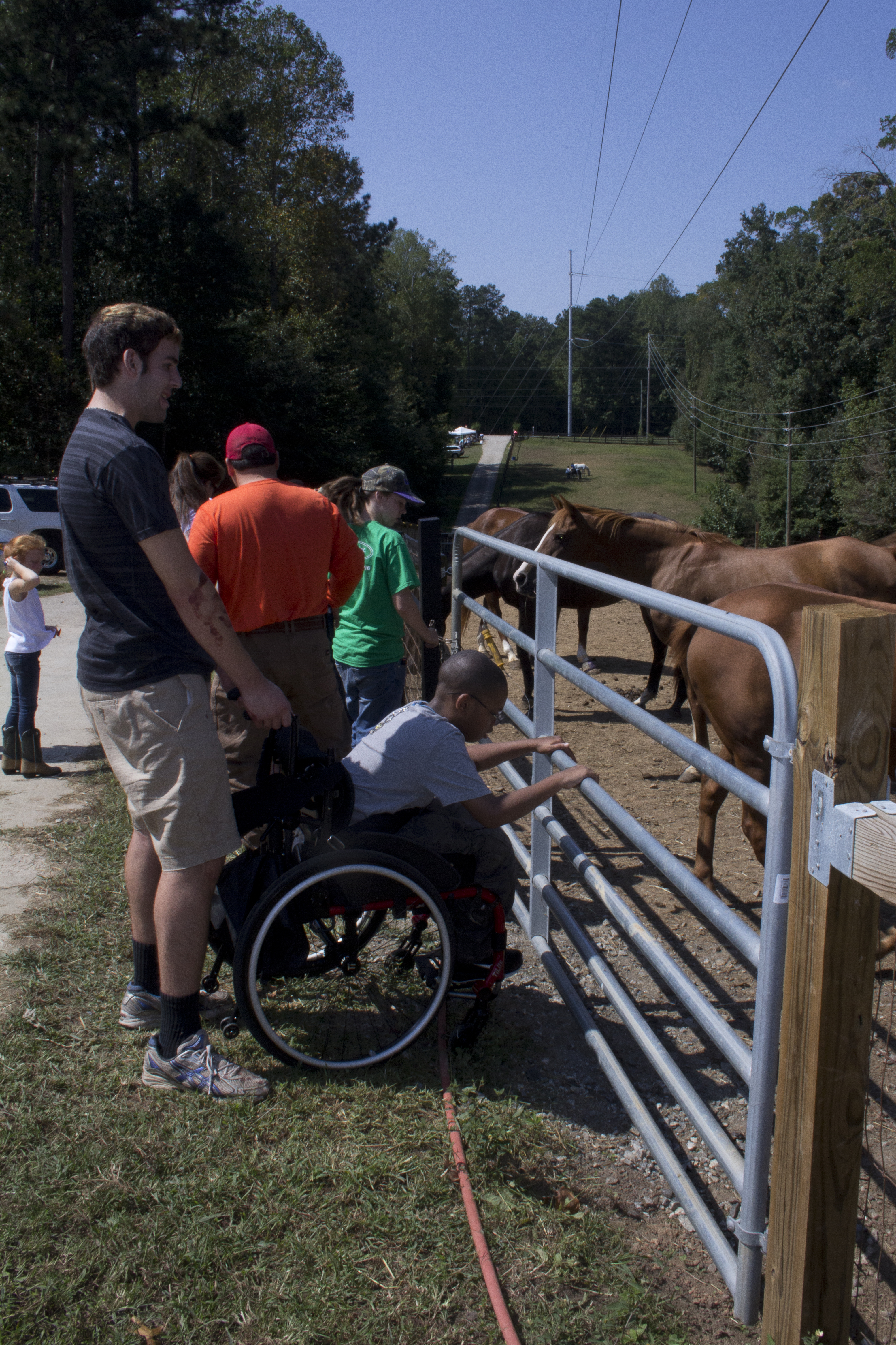 People petting the horses at the Special Equestrians of Georgia