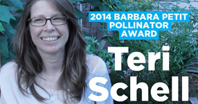 Teri-schell