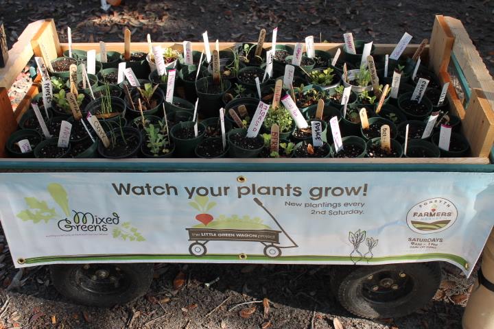 Wagon full of plant seedlings