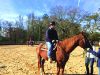 JC on horse - Georgia Options