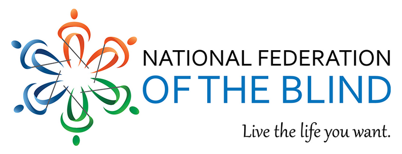 National Federation of the Blind Georgia logo