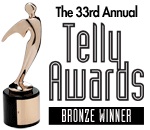 telly site  bronze award