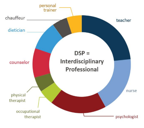 A pie chart breaking down the roles of a DSP